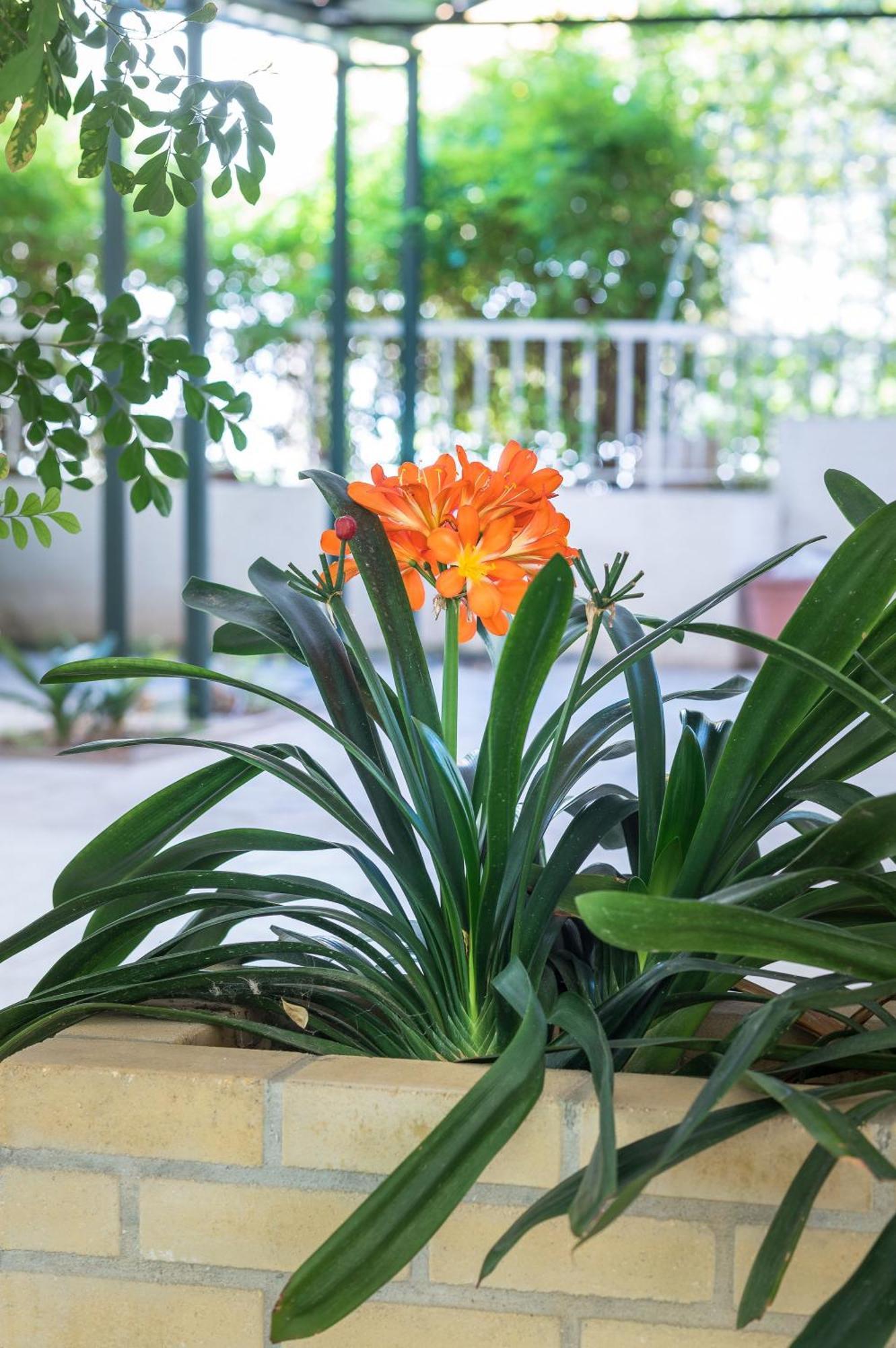Glyfada'S Cosy Apartments Афины Экстерьер фото